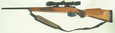 .308 hunting rifle